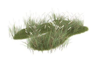 Field of grass isolated on white background. 3d rendering - illustration