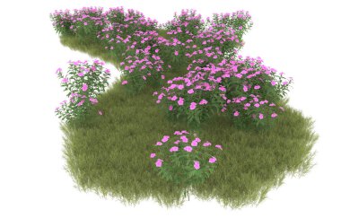 Field of grass isolated on white background. 3d rendering - illustration