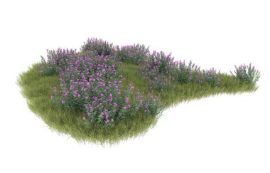 Field of grass isolated on white background. 3d rendering - illustration