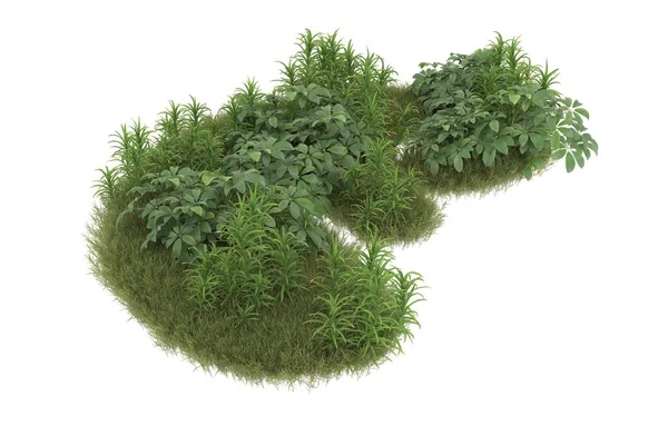 Field of grass with flowers isolated on white background. 3d rendering - illustration