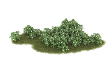 Field of grass isolated on white background. 3d rendering - illustration