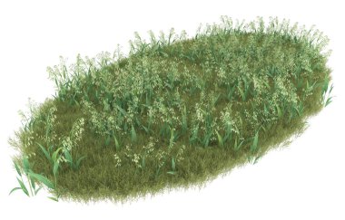 Field of grass isolated on white background. 3d rendering - illustration