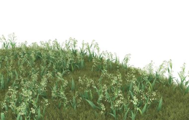 Field of grass isolated on white background. 3d rendering - illustration