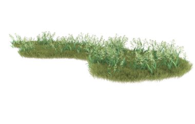 Field of grass isolated on white background. 3d rendering - illustration