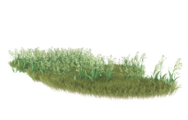 Field of grass isolated on white background. 3d rendering - illustration