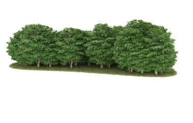 Field of grass isolated on white background. 3d rendering - illustration