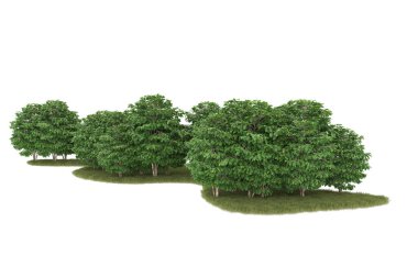 Field of grass isolated on white background. 3d rendering - illustration