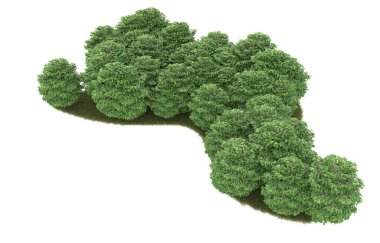 Field of grass isolated on white background. 3d rendering - illustration