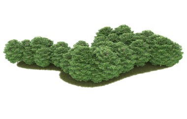 Field of grass isolated on white background. 3d rendering - illustration