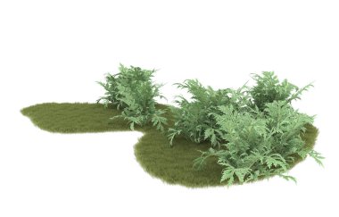 Field of grass isolated on white background. 3d rendering - illustration