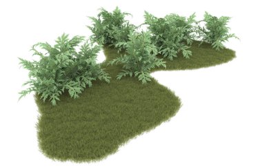 Field of grass isolated on white background. 3d rendering - illustration