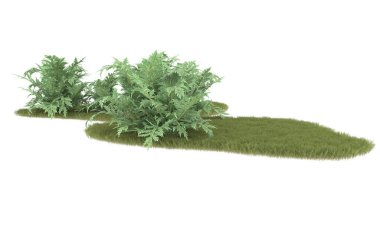 Field of grass isolated on white background. 3d rendering - illustration