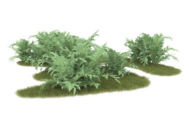 Field of grass isolated on white background. 3d rendering - illustration