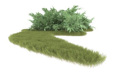 Field of grass isolated on white background. 3d rendering - illustration