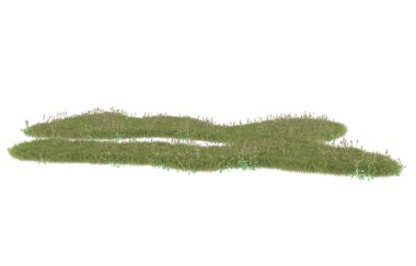 Field of grass isolated on white background. 3d rendering - illustration