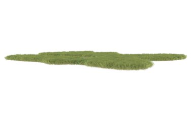 Field of grass isolated on white background. 3d rendering - illustration