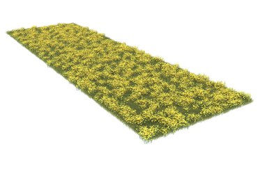 Field of grass isolated on white background. 3d rendering - illustration