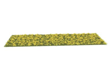 Field of grass isolated on white background. 3d rendering - illustration