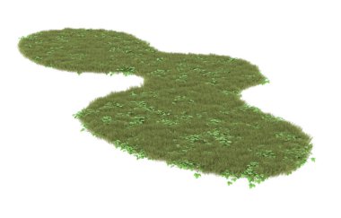 Field of grass isolated on white background. 3d rendering - illustration
