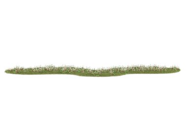 Field of grass isolated on white background. 3d rendering - illustration