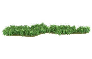 Field of grass isolated on white background. 3d rendering - illustration