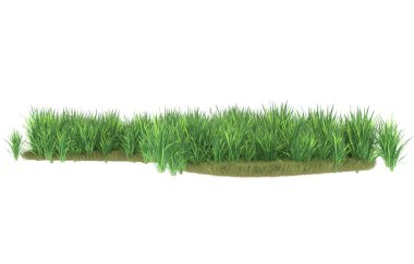 Field of grass isolated on white background. 3d rendering - illustration