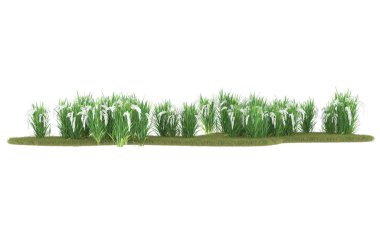 Field of grass isolated on white background. 3d rendering - illustration