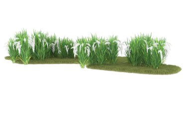 Field of grass isolated on white background. 3d rendering - illustration