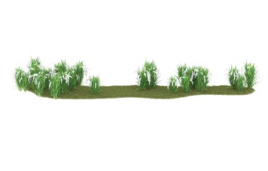 Field of grass isolated on white background. 3d rendering - illustration