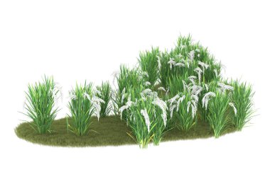 Field of grass isolated on white background. 3d rendering - illustration