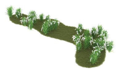 Field of grass isolated on white background. 3d rendering - illustration