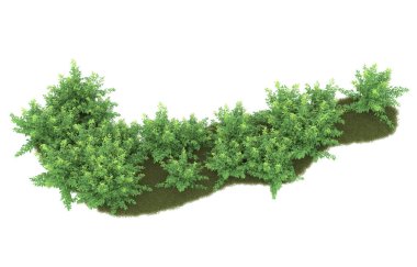 Field of grass isolated on white background. 3d rendering - illustration