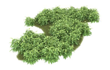 Tropical forest isolated on white background. 3d rendering - illustration