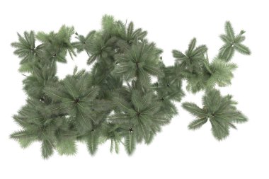 Tropical forest isolated on white background. 3d rendering - illustration