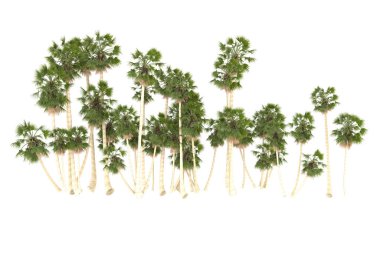 Tropical forest isolated on white background. 3d rendering - illustration