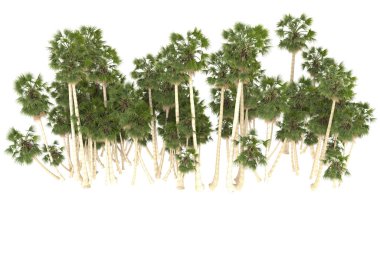 Tropical forest isolated on white background. 3d rendering - illustration