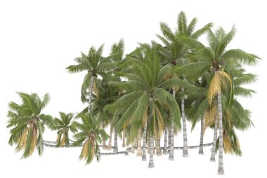 Tropical forest isolated on white background. 3d rendering - illustration