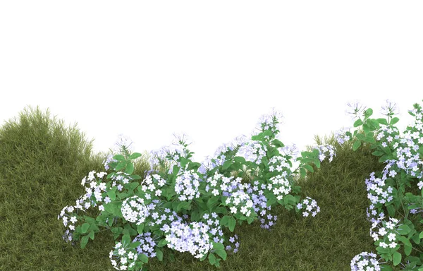 Field of grass isolated on white background. 3d rendering - illustration