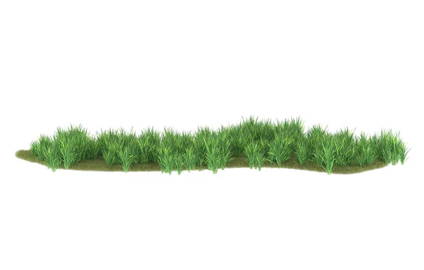 Stock image Field of grass isolated on white background. 3d rendering - illustration