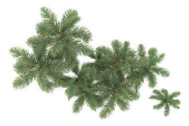 Tropical forest isolated on white background. 3d rendering - illustration