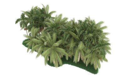 Tropical forest isolated on white background. 3d rendering - illustration