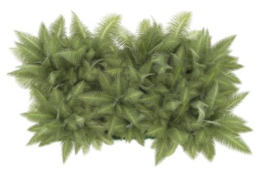 Tropical forest isolated on white background. 3d rendering - illustration