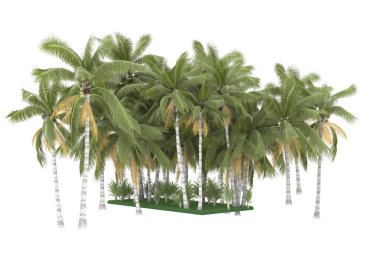 Tropical forest isolated on white background. 3d rendering - illustration