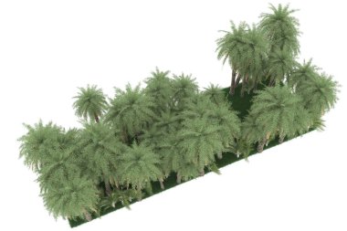 Tropical forest isolated on white background. 3d rendering - illustration