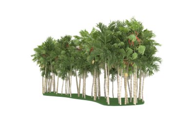 Tropical forest isolated on white background. 3d rendering - illustration
