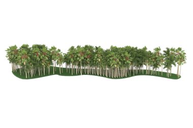 Tropical forest isolated on white background. 3d rendering - illustration
