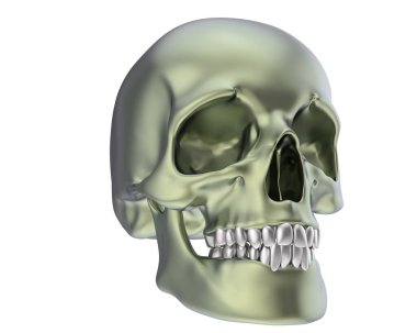 beyaz arkaplanda kafatası