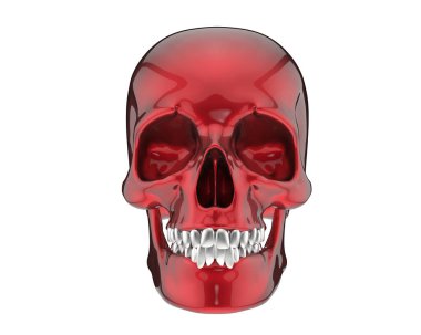 beyaz arkaplanda kafatası