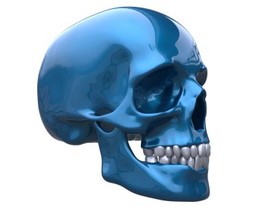 beyaz arkaplanda kafatası