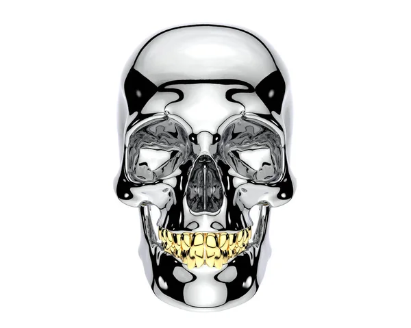 Skull White Background — Stock Photo, Image